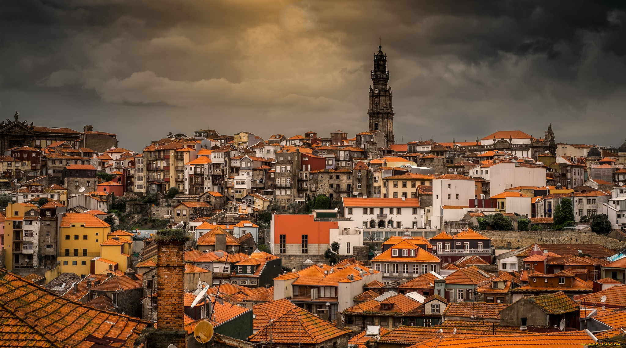porto, ,  , , 